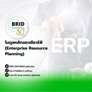 โมดูลหลักของระบบอีอาร์พี (Enterprise Resource Planning)