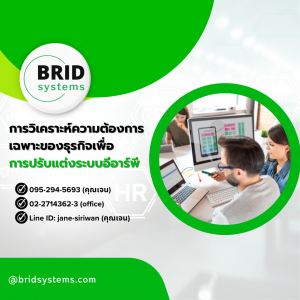 การวิเคราะห์ความต้องการเฉพาะของธุรกิจเพื่อการปรับแต่งระบบอีอาร์พี