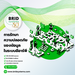 แนวทางการรักษาความปลอดภัยของข้อมูลในระบบอีอาร์พี